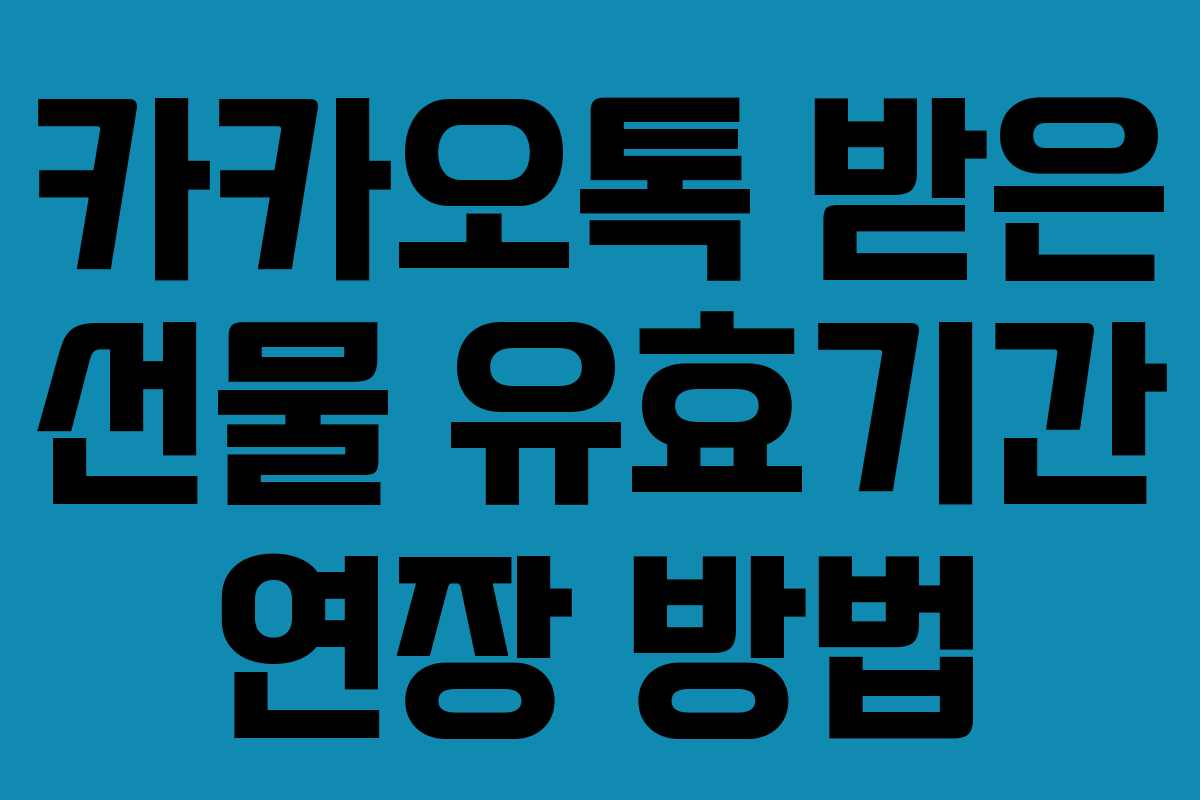 카카오톡 받은 선물 유효기간 연장 방법
