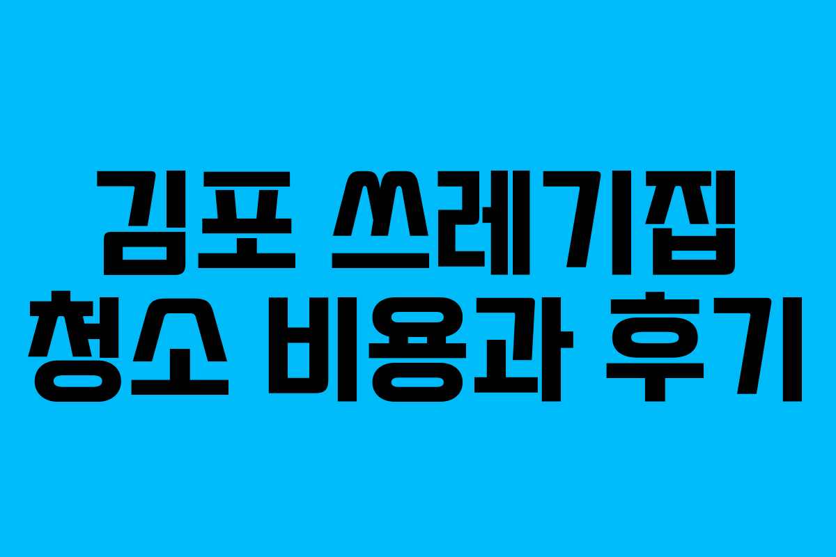 김포 쓰레기집 청소 비용과 후기
