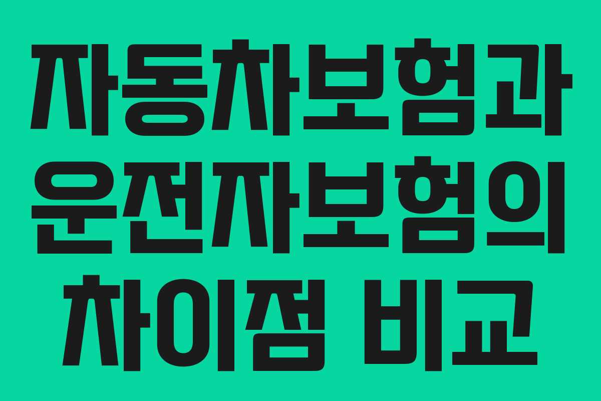 자동차보험과 운전자보험의 차이점 비교