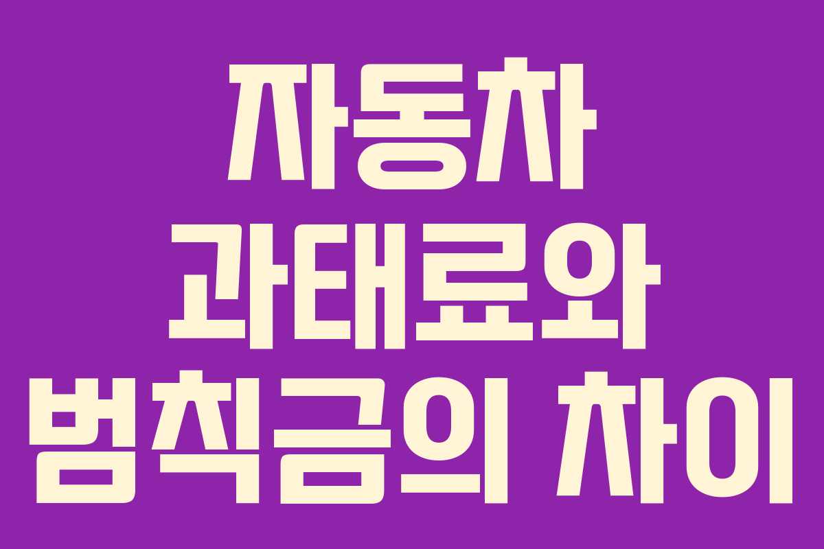 자동차 과태료와 범칙금의 차이