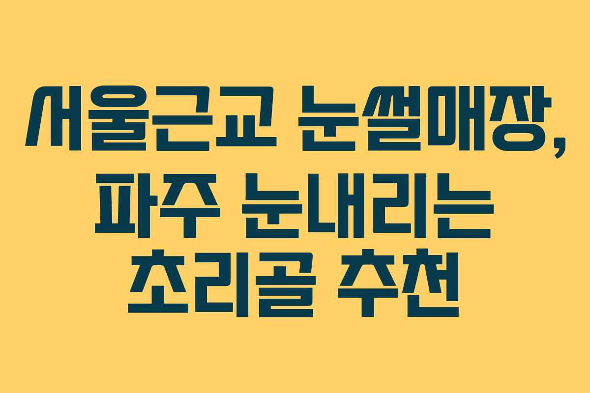 서울근교 눈썰매장, 파주 눈내리는 초리골 추천