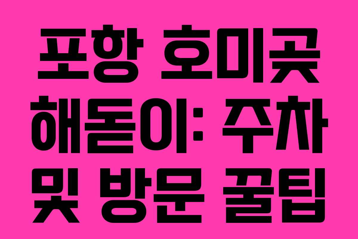 포항 호미곶 해돋이: 주차 및 방문 꿀팁