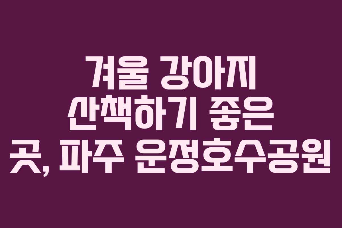 겨울 강아지 산책하기 좋은 곳, 파주 운정호수공원