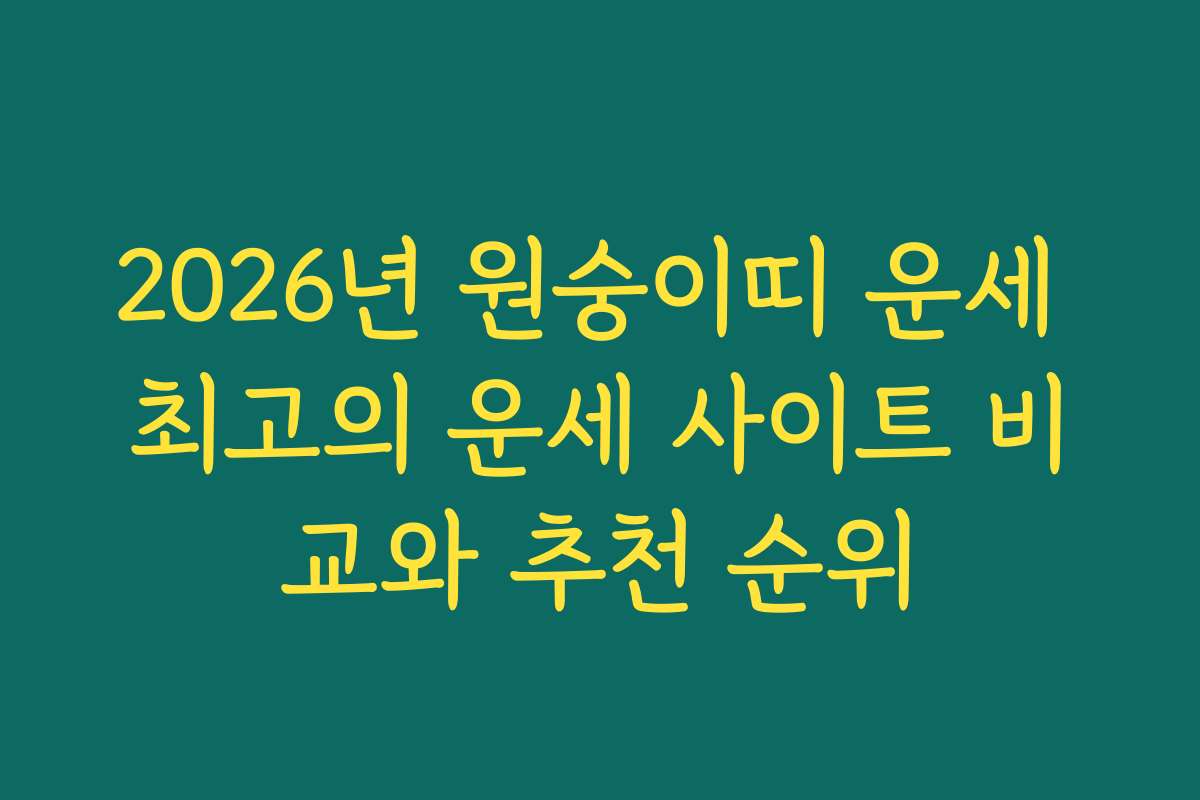 2026년 원숭이띠 운세 최고의 운세 사이트 비교와 추천 순위