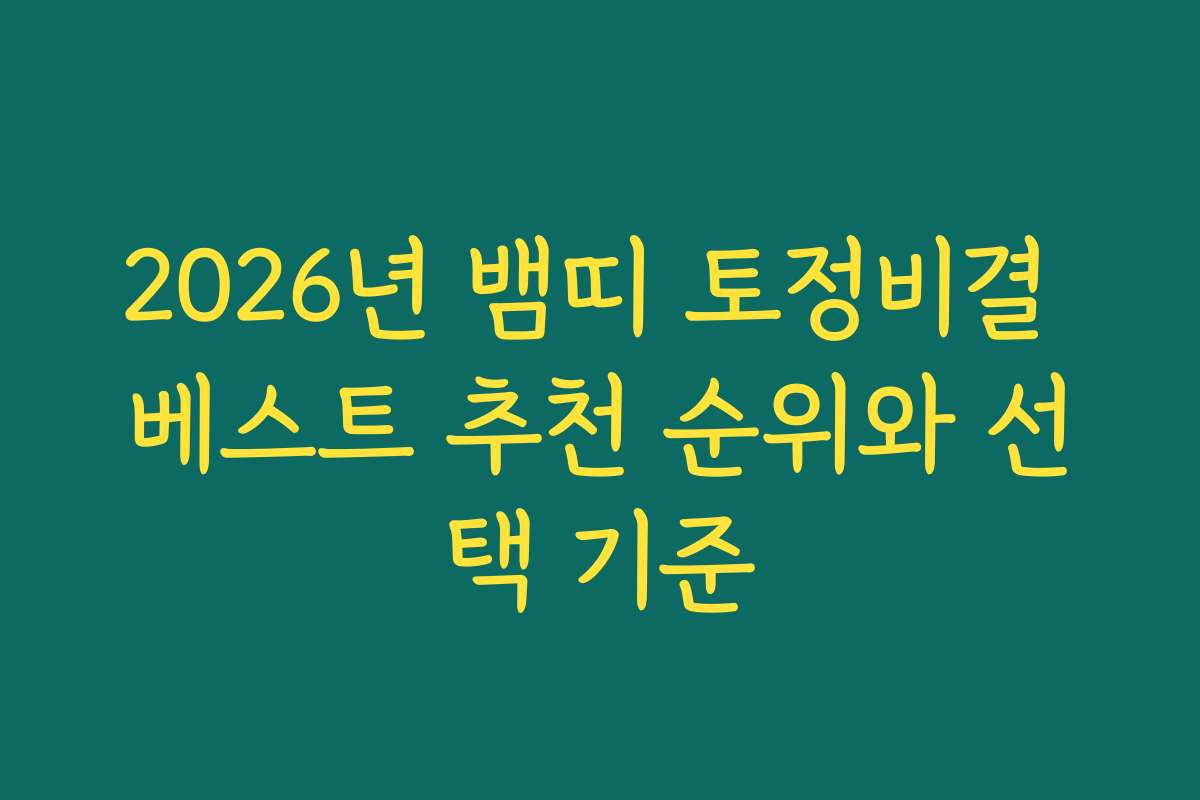2026년 뱀띠 토정비결 베스트 추천 순위와 선택 기준