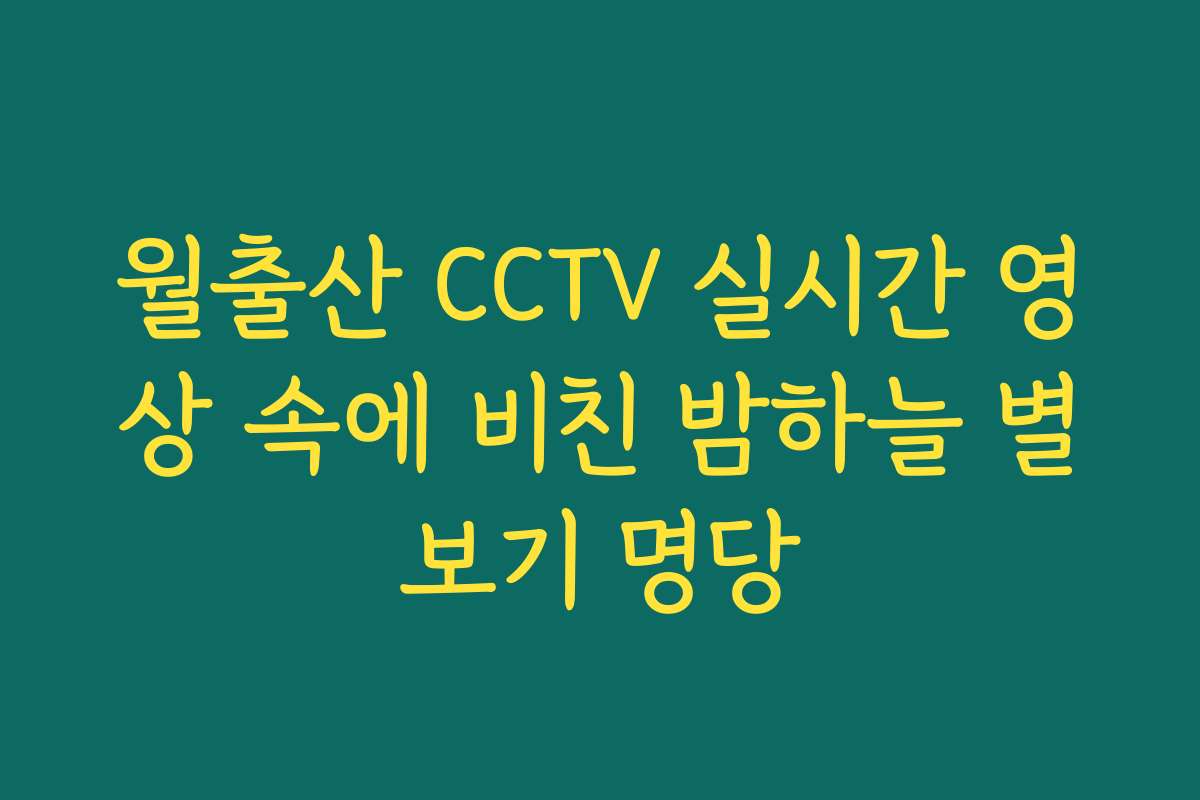 월출산 CCTV 실시간 영상 속에 비친 밤하늘 별보기 명당
