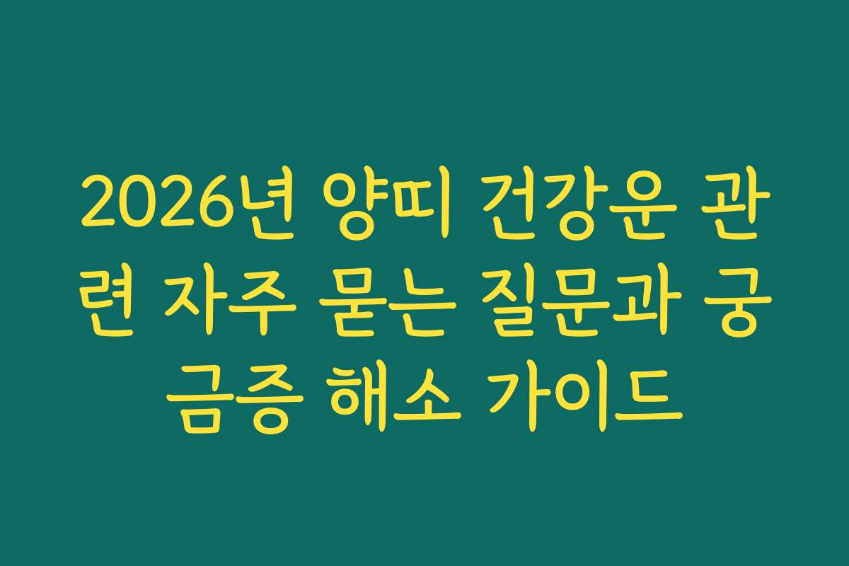 2026년 양띠 건강운 관련 자주 묻는 질문과 궁금증 해소 가이드