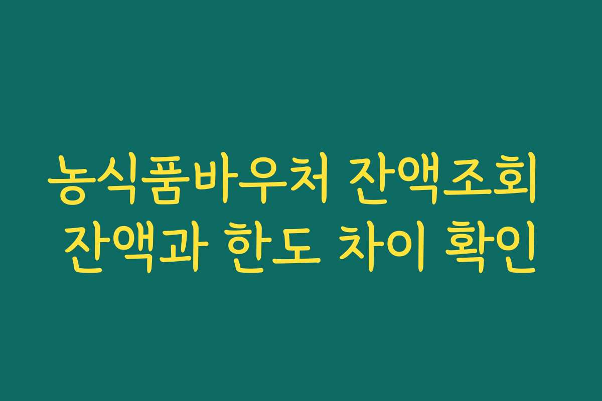농식품바우처 잔액조회 잔액과 한도 차이 확인