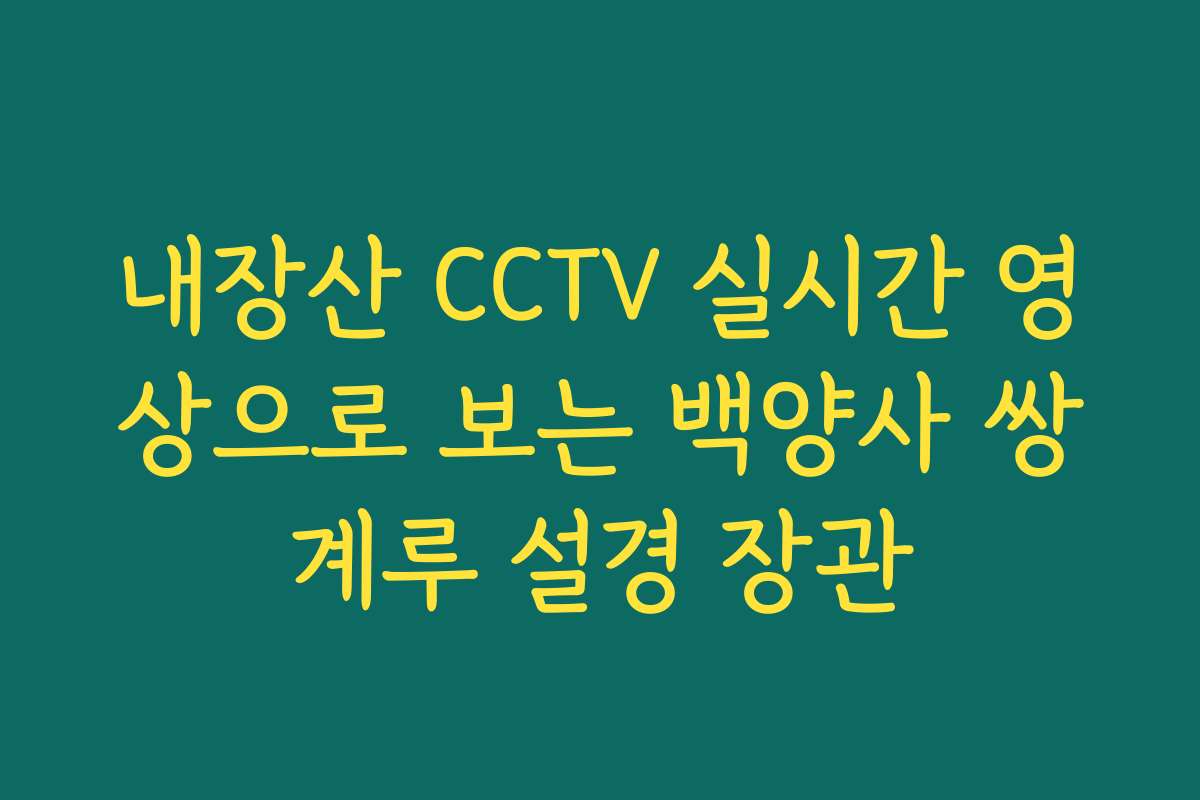 내장산 CCTV 실시간 영상으로 보는 백양사 쌍계루 설경 장관