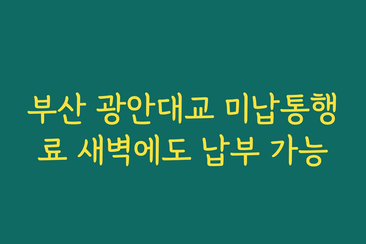 부산 광안대교 미납통행료 새벽에도 납부 가능