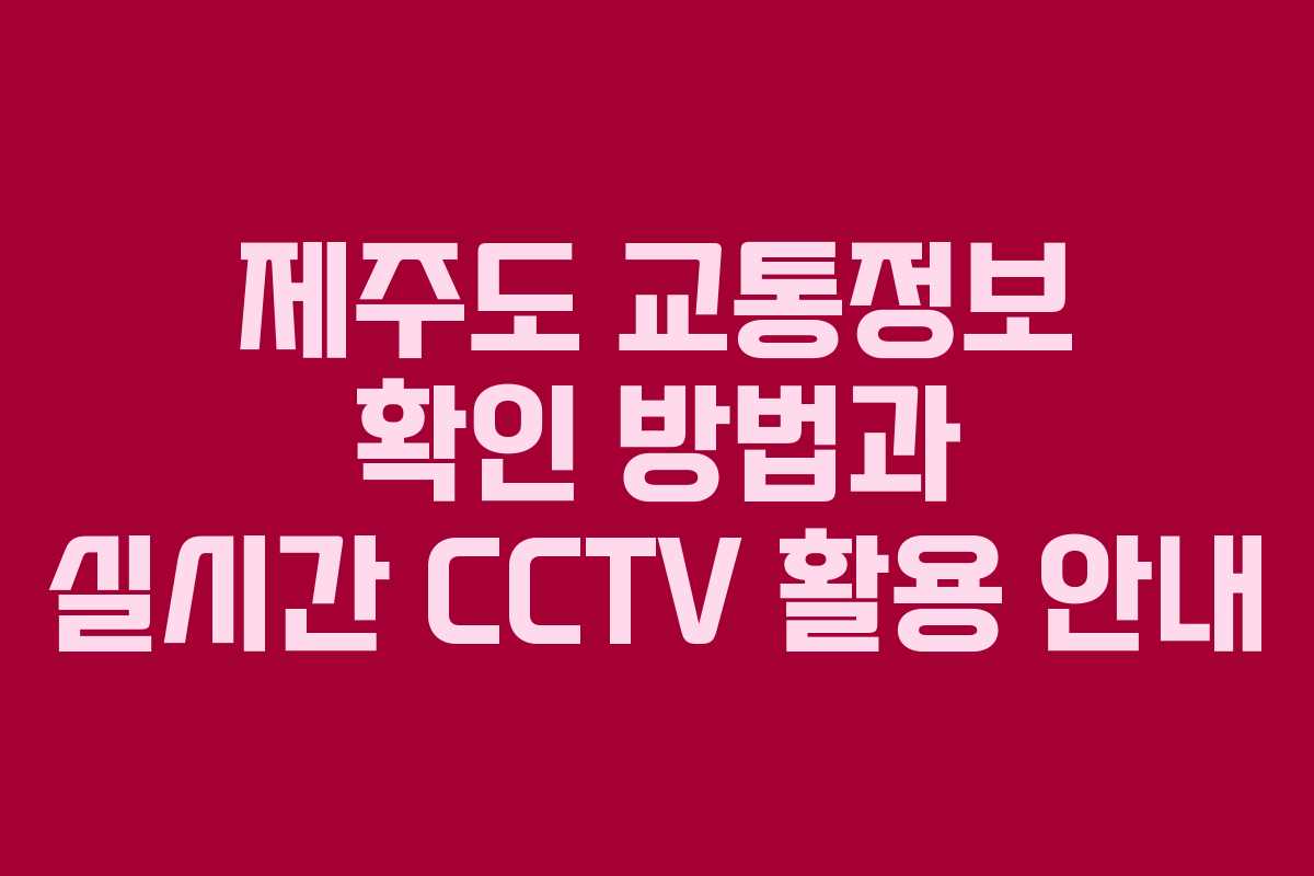 제주도 교통정보 확인 방법과 실시간 CCTV 활용 안내