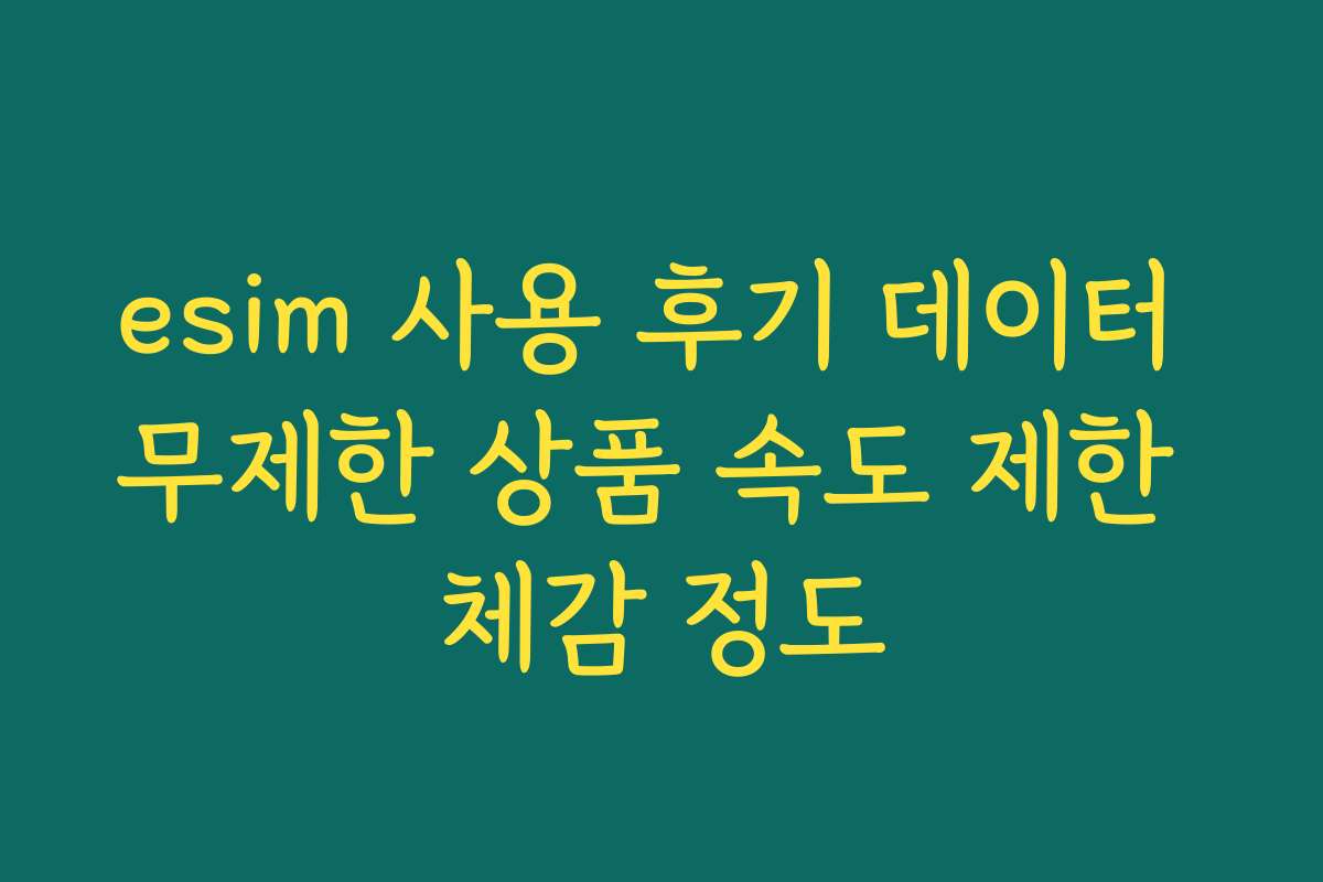 esim 사용 후기 데이터 무제한 상품 속도 제한 체감 정도