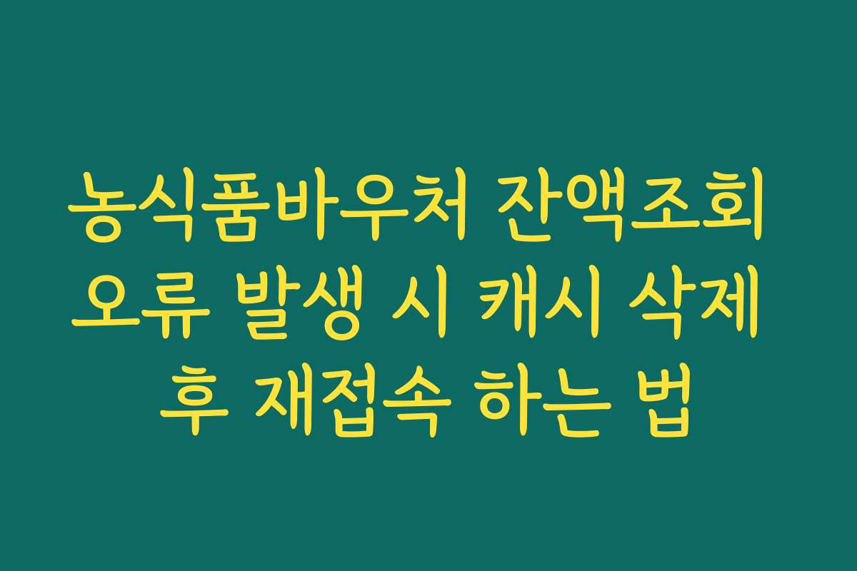 농식품바우처 잔액조회 오류 발생 시 캐시 삭제 후 재접속 하는 법