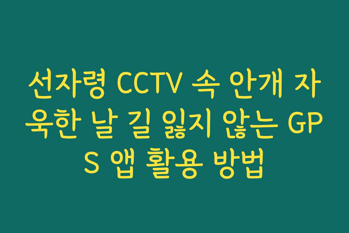 선자령 CCTV 속 안개 자욱한 날 길 잃지 않는 GPS 앱 활용 방법