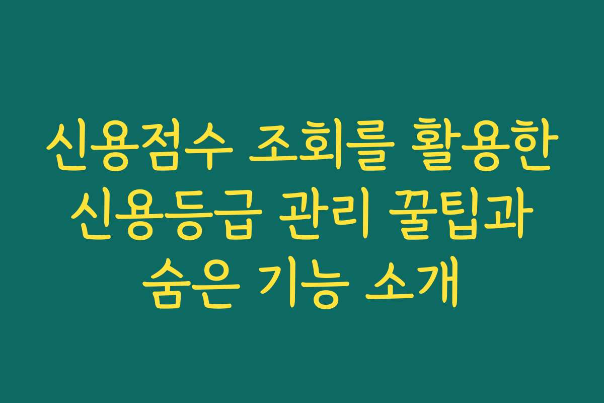 신용점수 조회를 활용한 신용등급 관리 꿀팁과 숨은 기능 소개