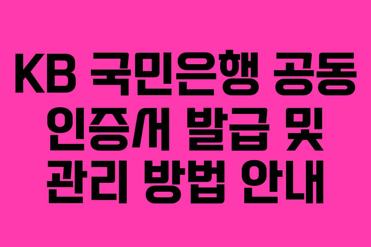 KB 국민은행 공동 인증서 발급 및 관리 방법 안내
