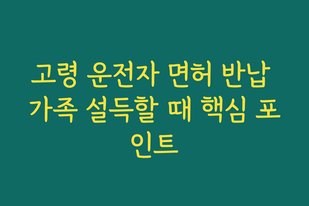 고령 운전자 면허 반납 가족 설득할 때 핵심 포인트