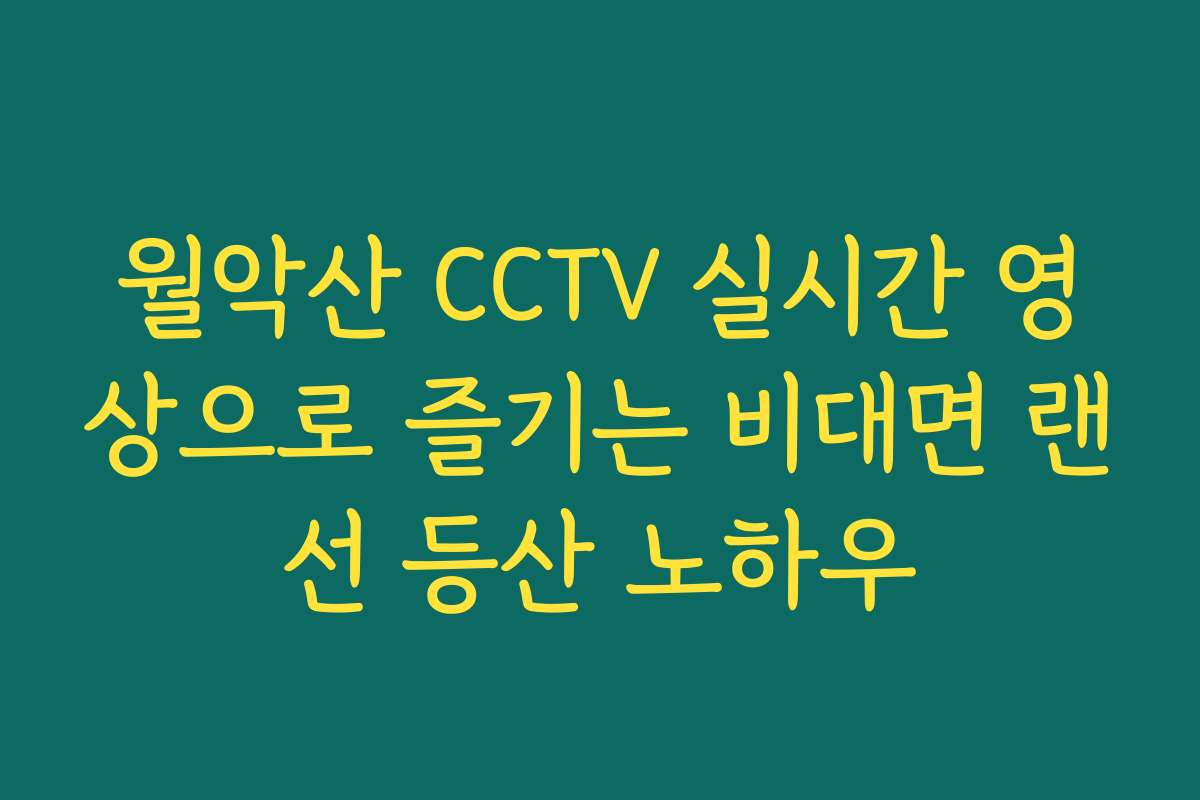 월악산 CCTV 실시간 영상으로 즐기는 비대면 랜선 등산 노하우