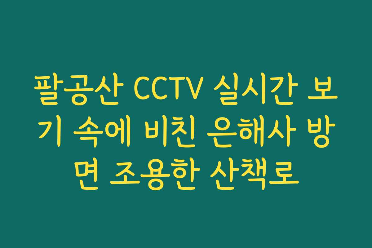 팔공산 CCTV 실시간 보기 속에 비친 은해사 방면 조용한 산책로