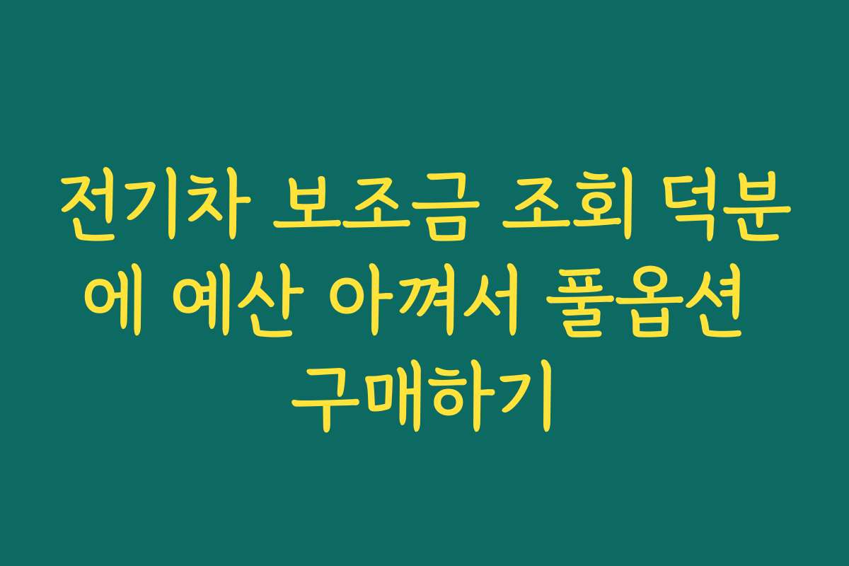 전기차 보조금 조회 덕분에 예산 아껴서 풀옵션 구매하기