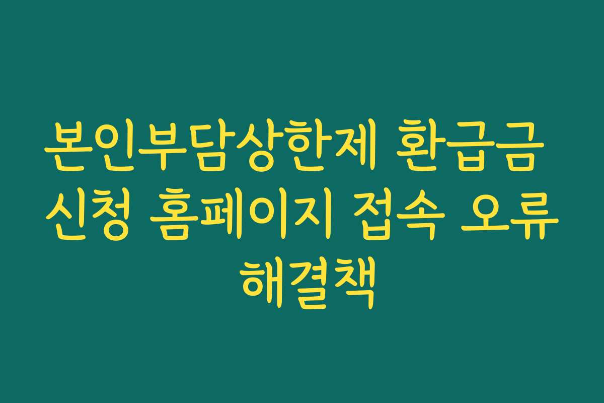 본인부담상한제 환급금 신청 홈페이지 접속 오류 해결책