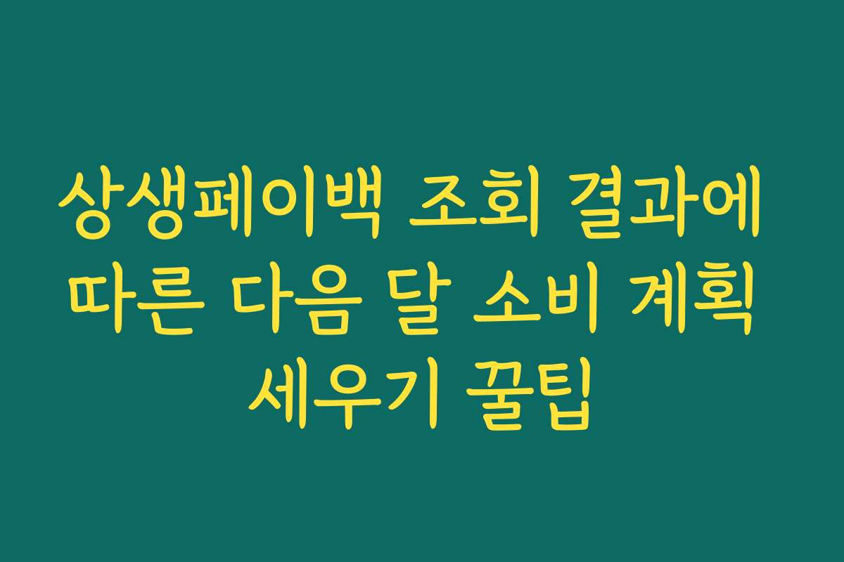상생페이백 조회 결과에 따른 다음 달 소비 계획 세우기 꿀팁