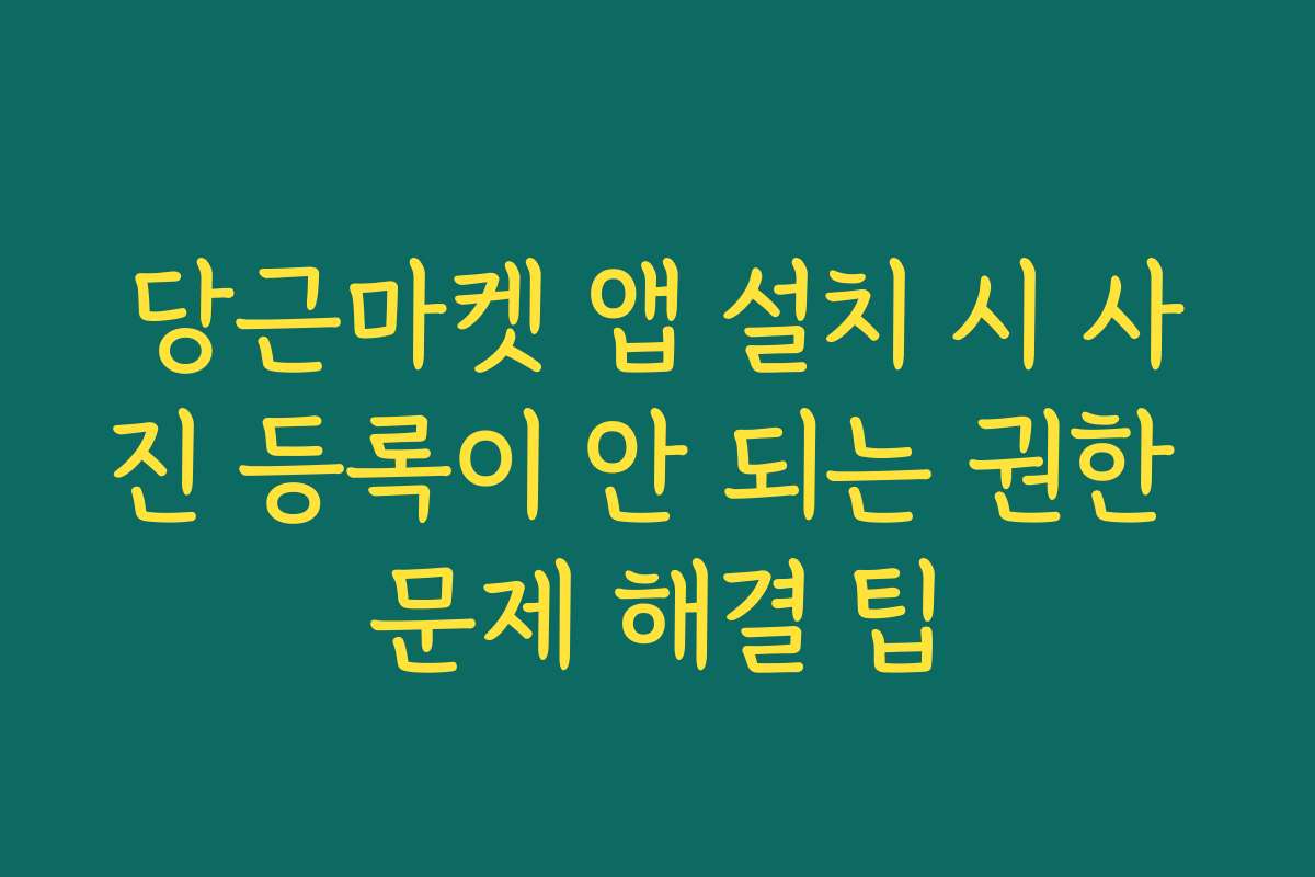 당근마켓 앱 설치 시 사진 등록이 안 되는 권한 문제 해결 팁