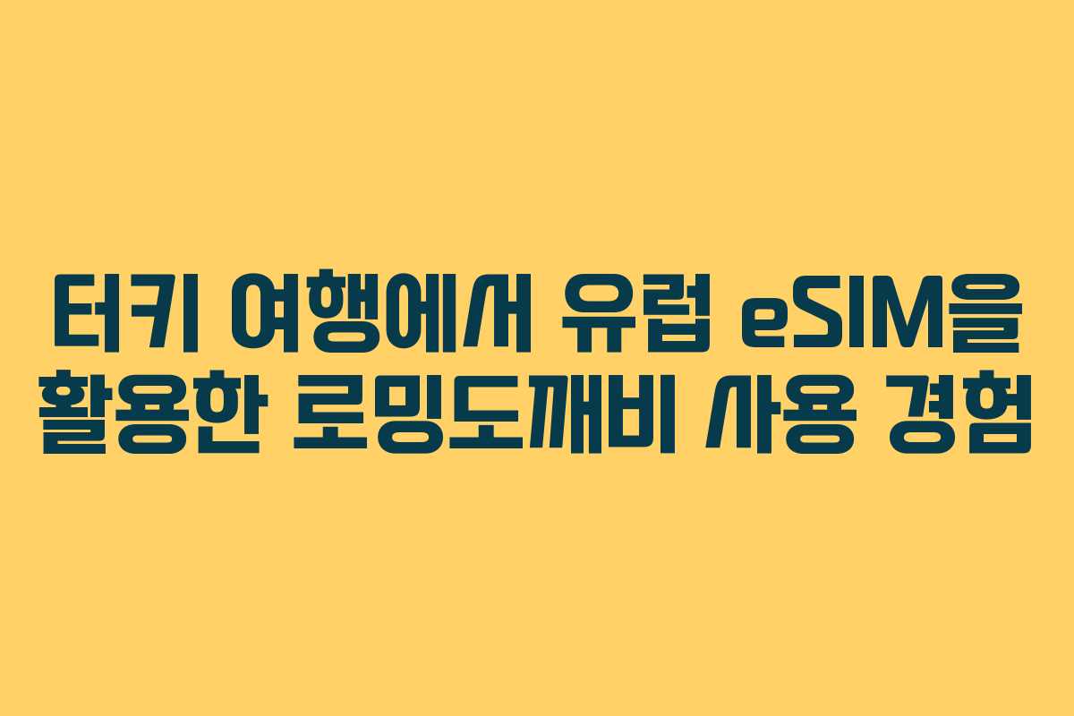 터키 여행에서 유럽 eSIM을 활용한 로밍도깨비 사용 경험