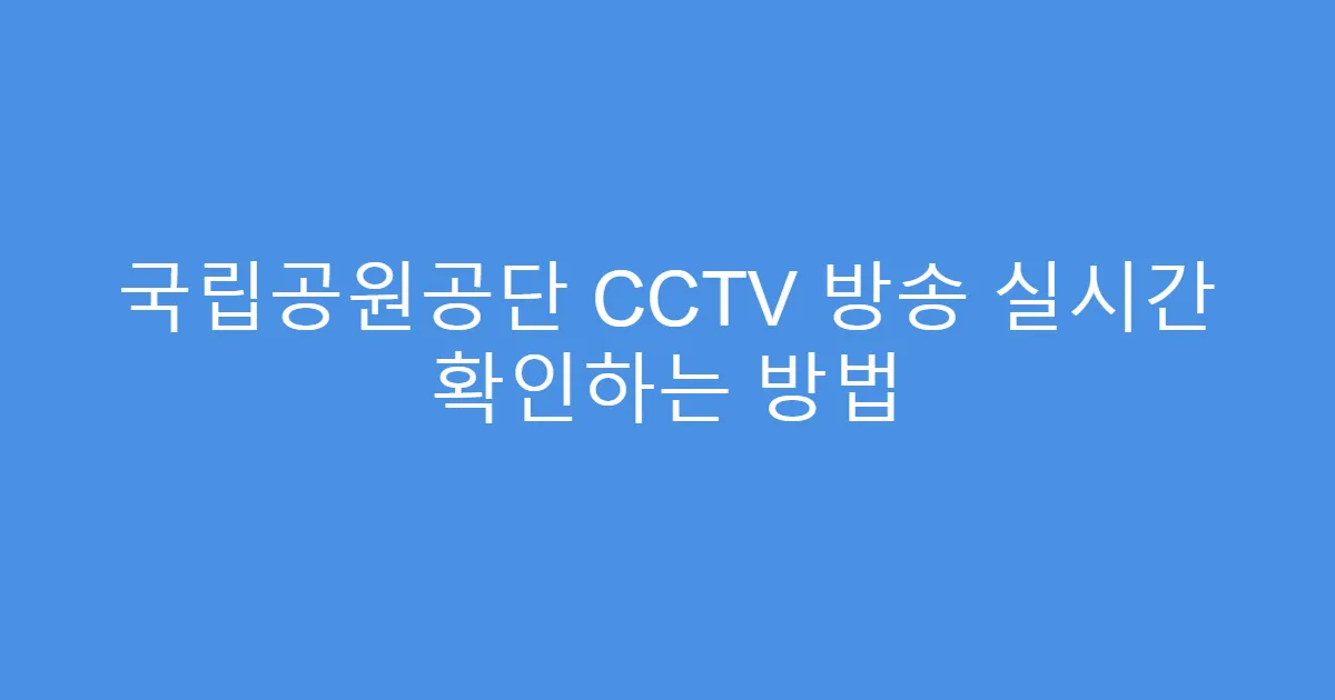 국립공원공단 CCTV 방송 실시간 확인하는 방법