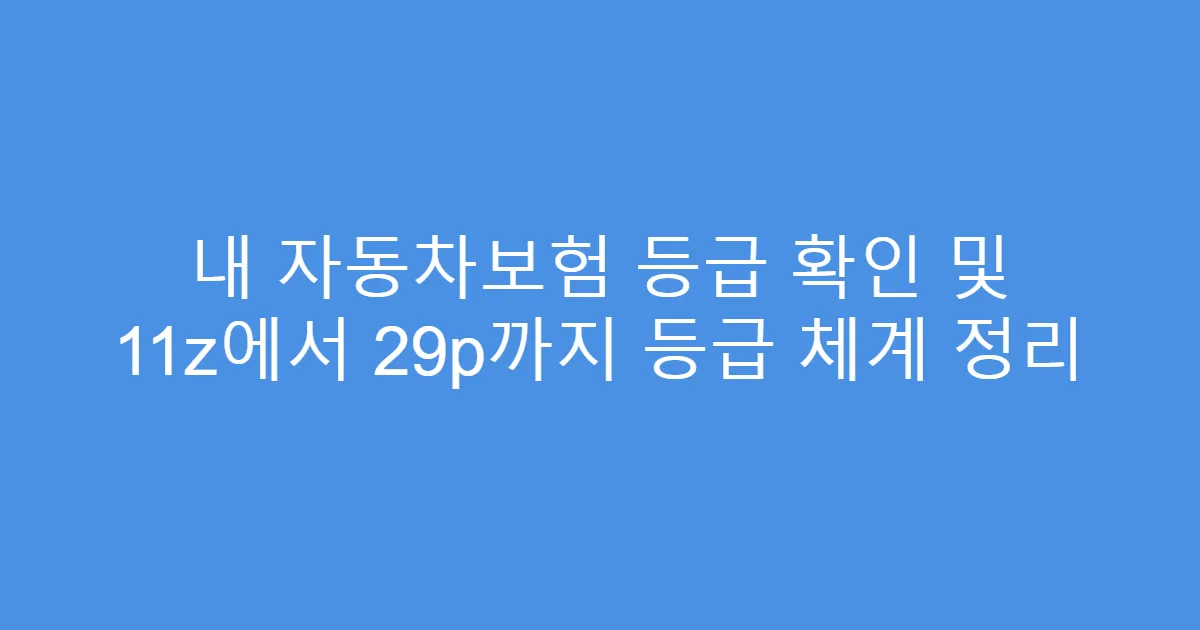 내 자동차보험 등급 확인 및 11z에서 29p까지 등급 체계 정리