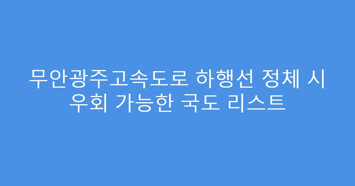 무안광주고속도로 하행선 정체 시 우회 가능한 국도 리스트