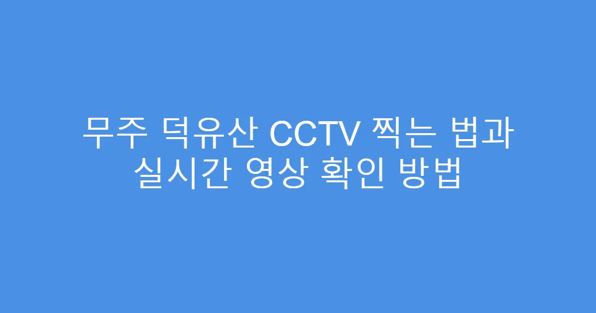 무주 덕유산 CCTV 찍는 법과 실시간 영상 확인 방법