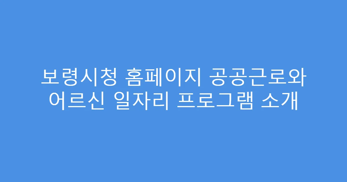보령시청 홈페이지 공공근로와 어르신 일자리 프로그램 소개