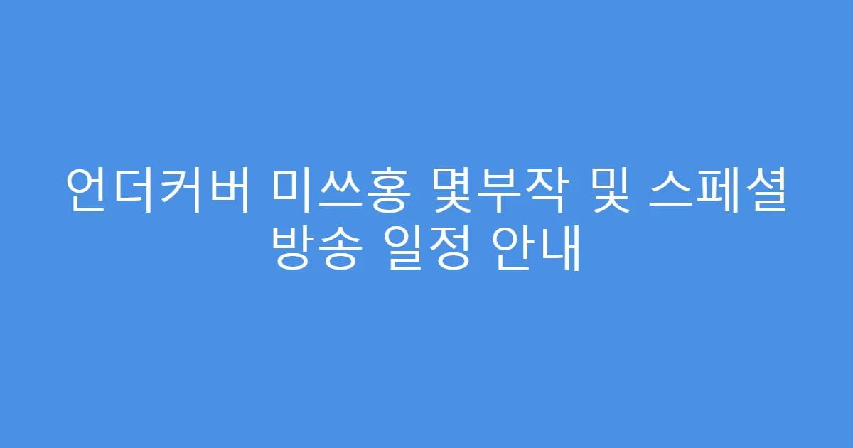 언더커버 미쓰홍 몇부작 및 스페셜 방송 일정 안내