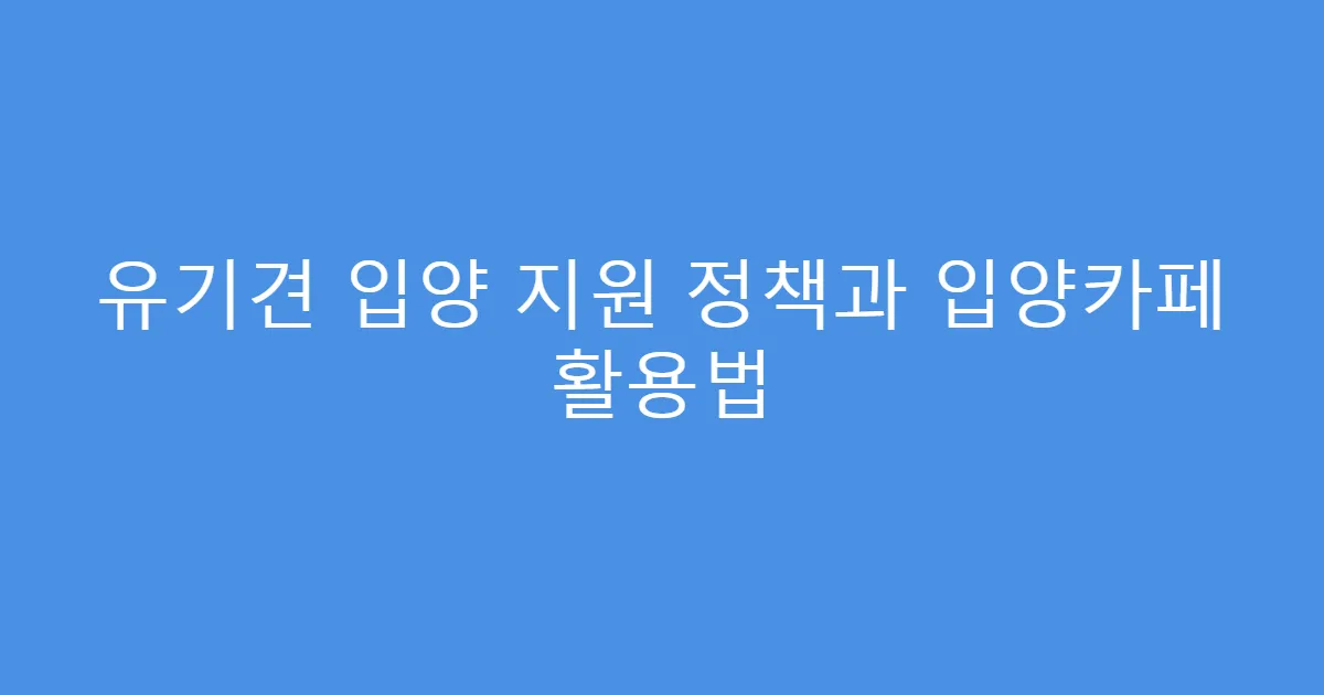 유기견 입양 지원 정책과 입양카페 활용법
