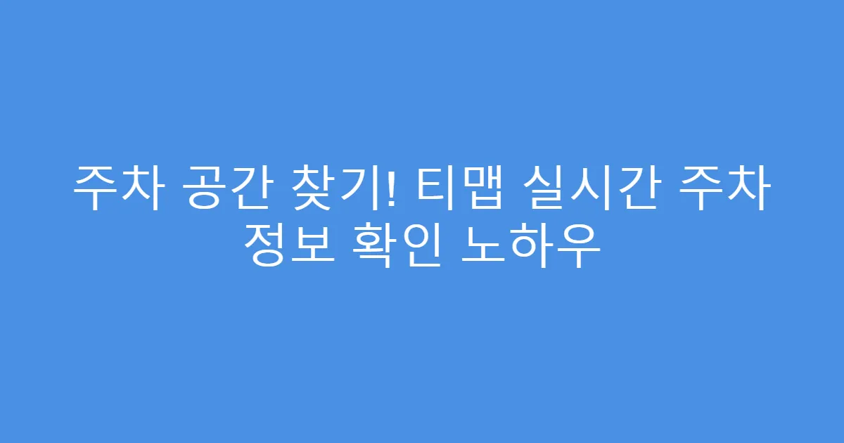 주차 공간 찾기! 티맵 실시간 주차 정보 확인 노하우