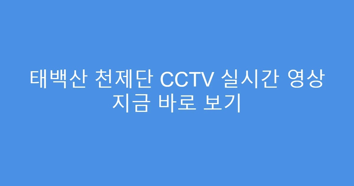 태백산 천제단 CCTV 실시간 영상 지금 바로 보기