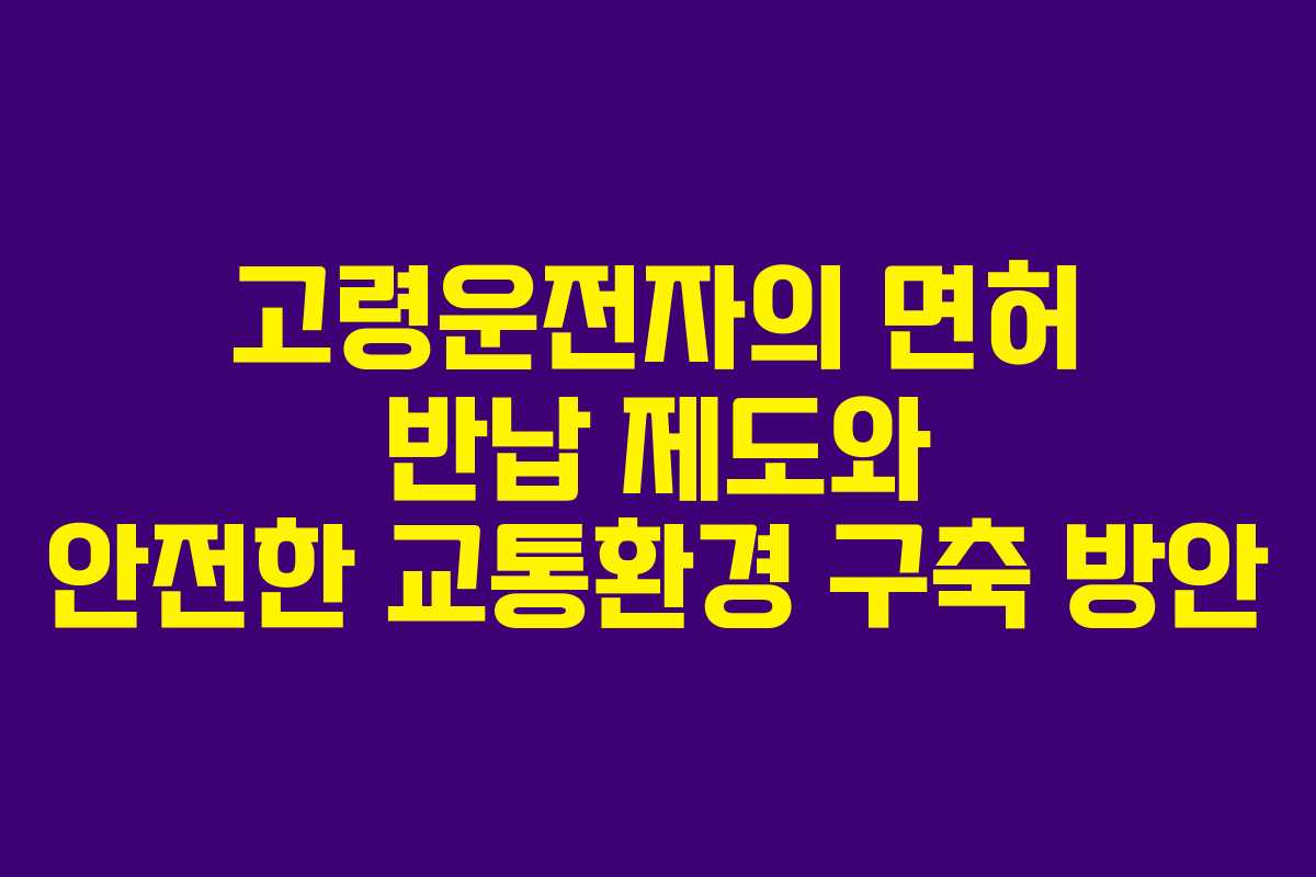 고령운전자의 면허 반납 제도와 안전한 교통환경 구축 방안