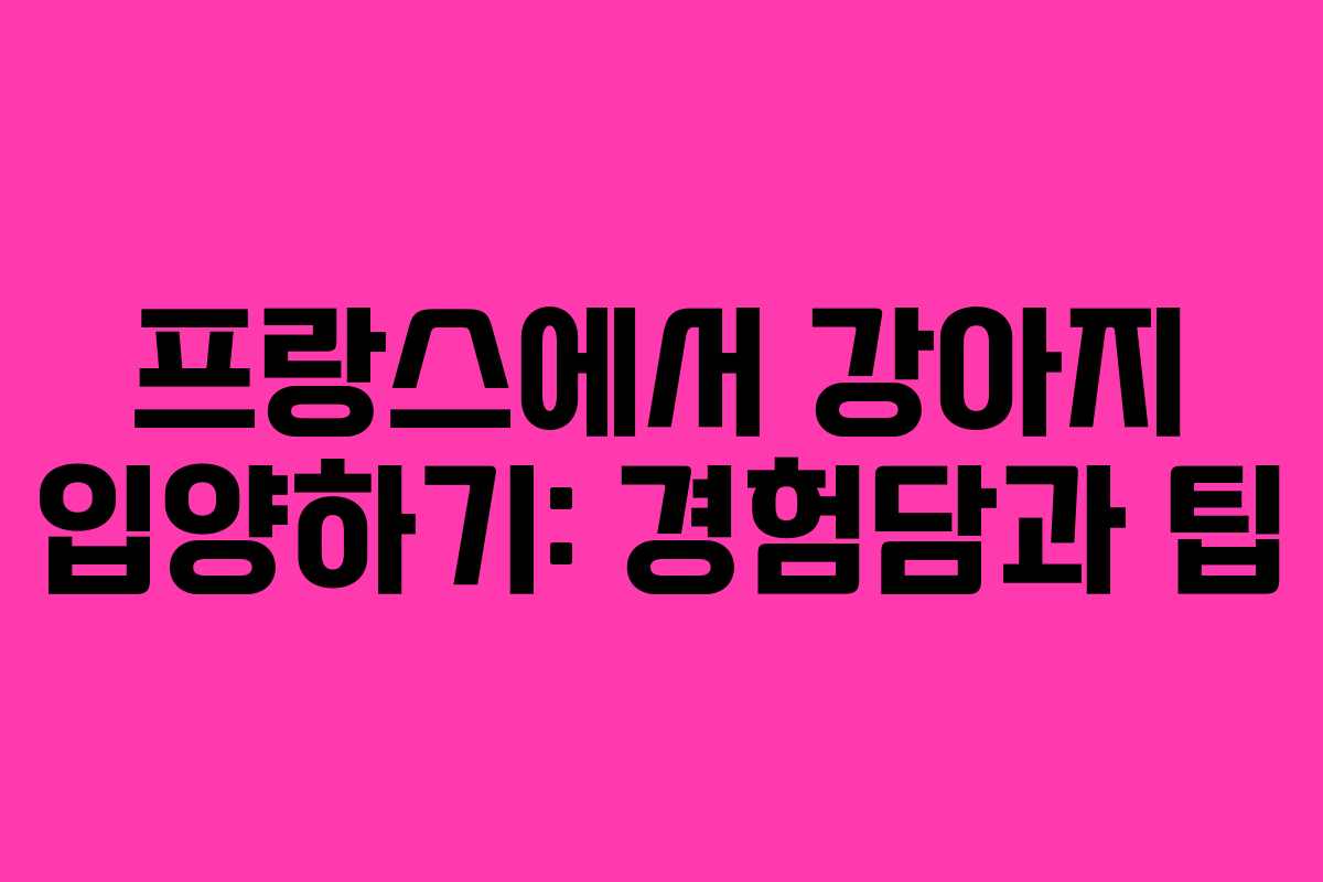 프랑스에서 강아지 입양하기: 경험담과 팁