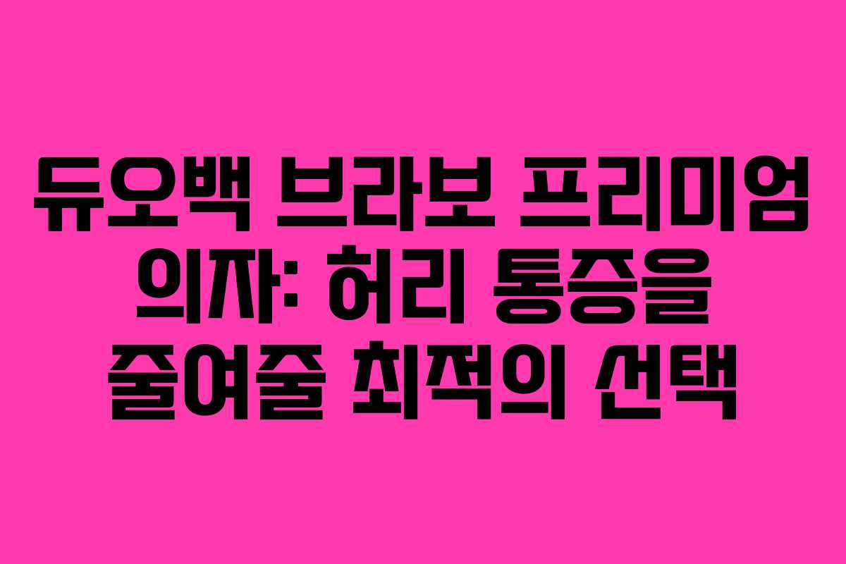 듀오백 브라보 프리미엄 의자: 허리 통증을 줄여줄 최적의 선택