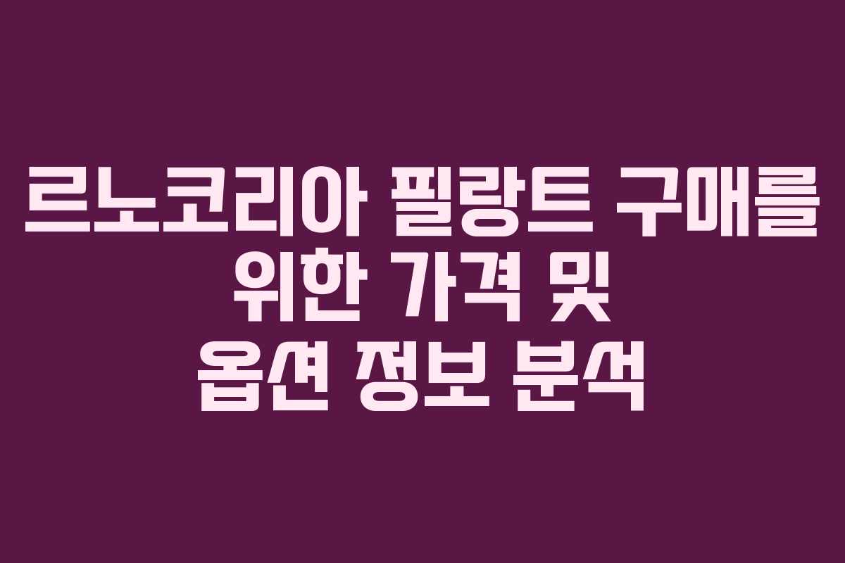 르노코리아 필랑트 구매를 위한 가격 및 옵션 정보 분석