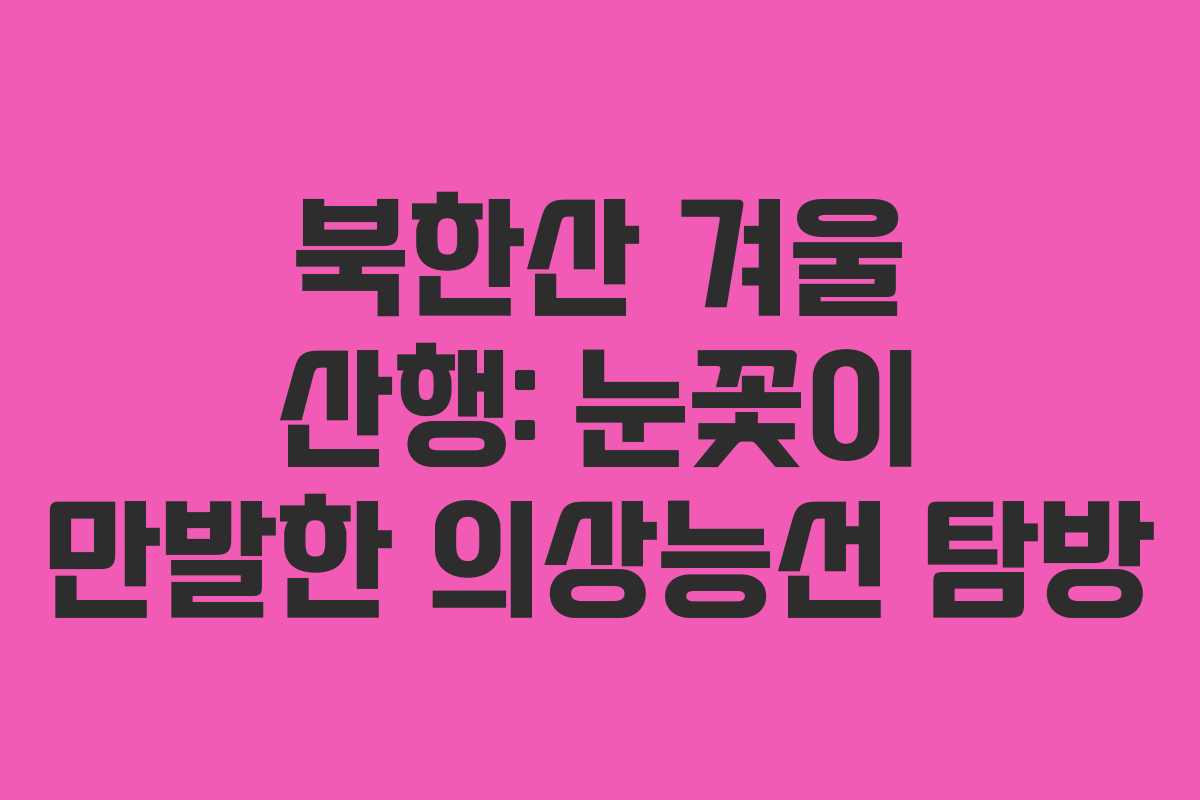 북한산 겨울 산행: 눈꽃이 만발한 의상능선 탐방