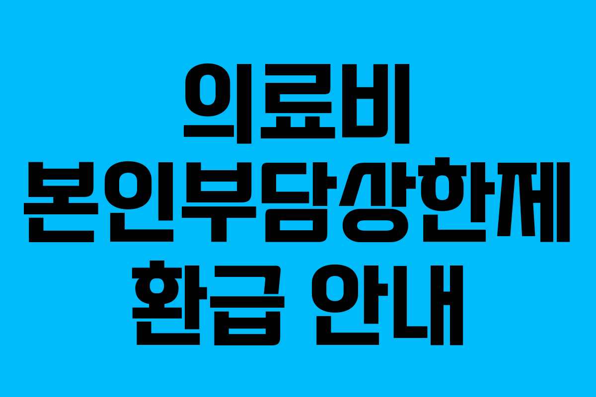 의료비 본인부담상한제 환급 안내
