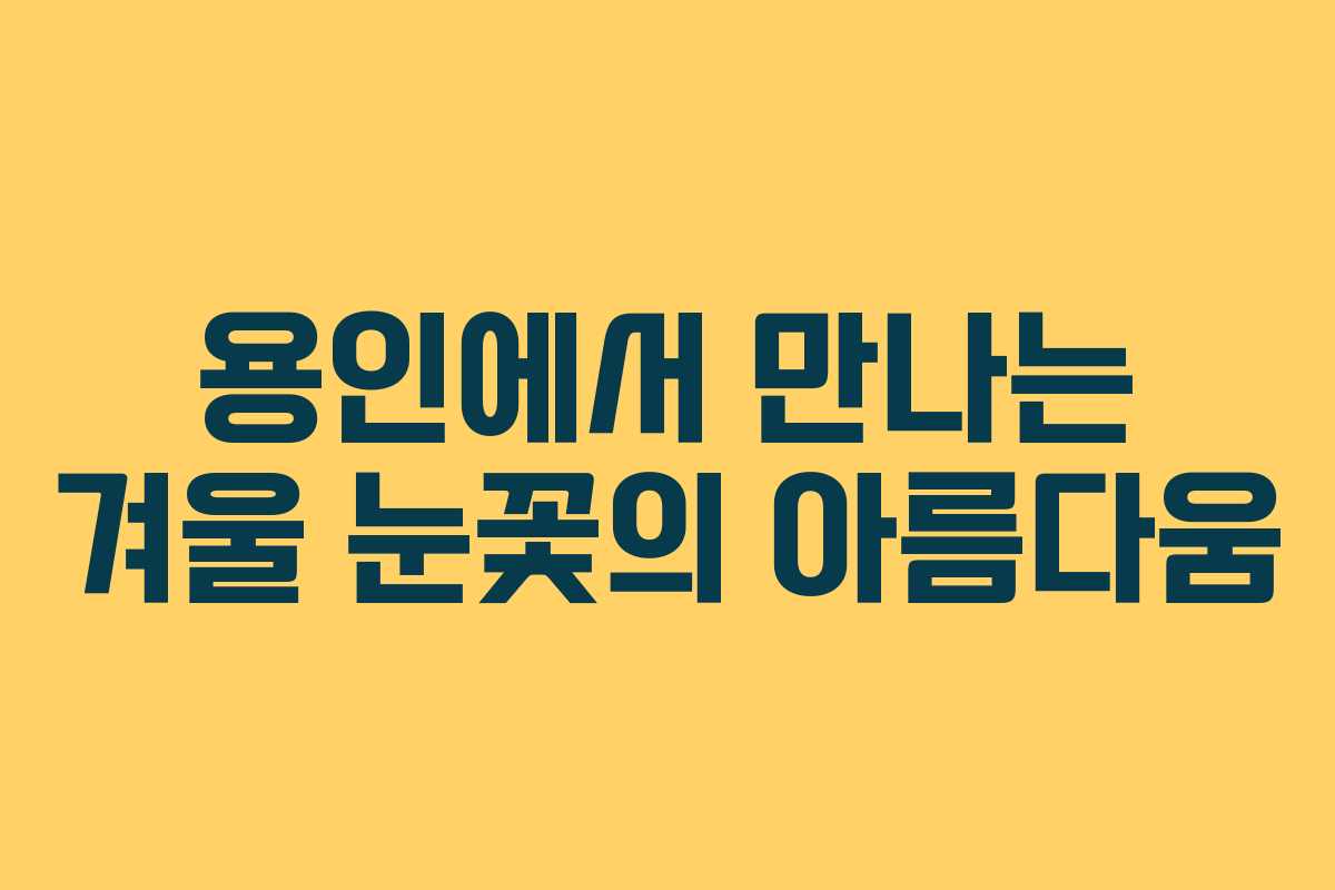 용인에서 만나는 겨울 눈꽃의 아름다움