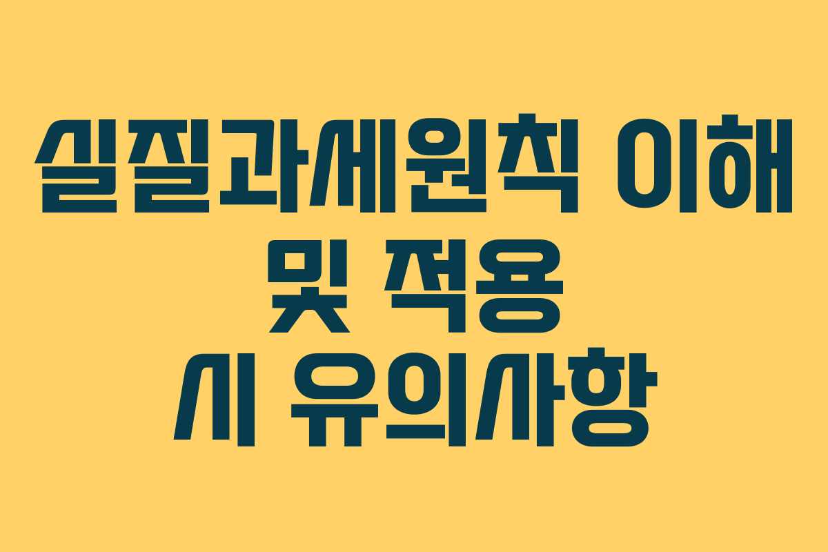 실질과세원칙 이해 및 적용 시 유의사항
