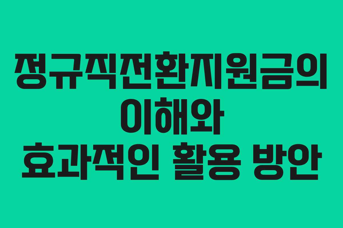 정규직전환지원금의 이해와 효과적인 활용 방안