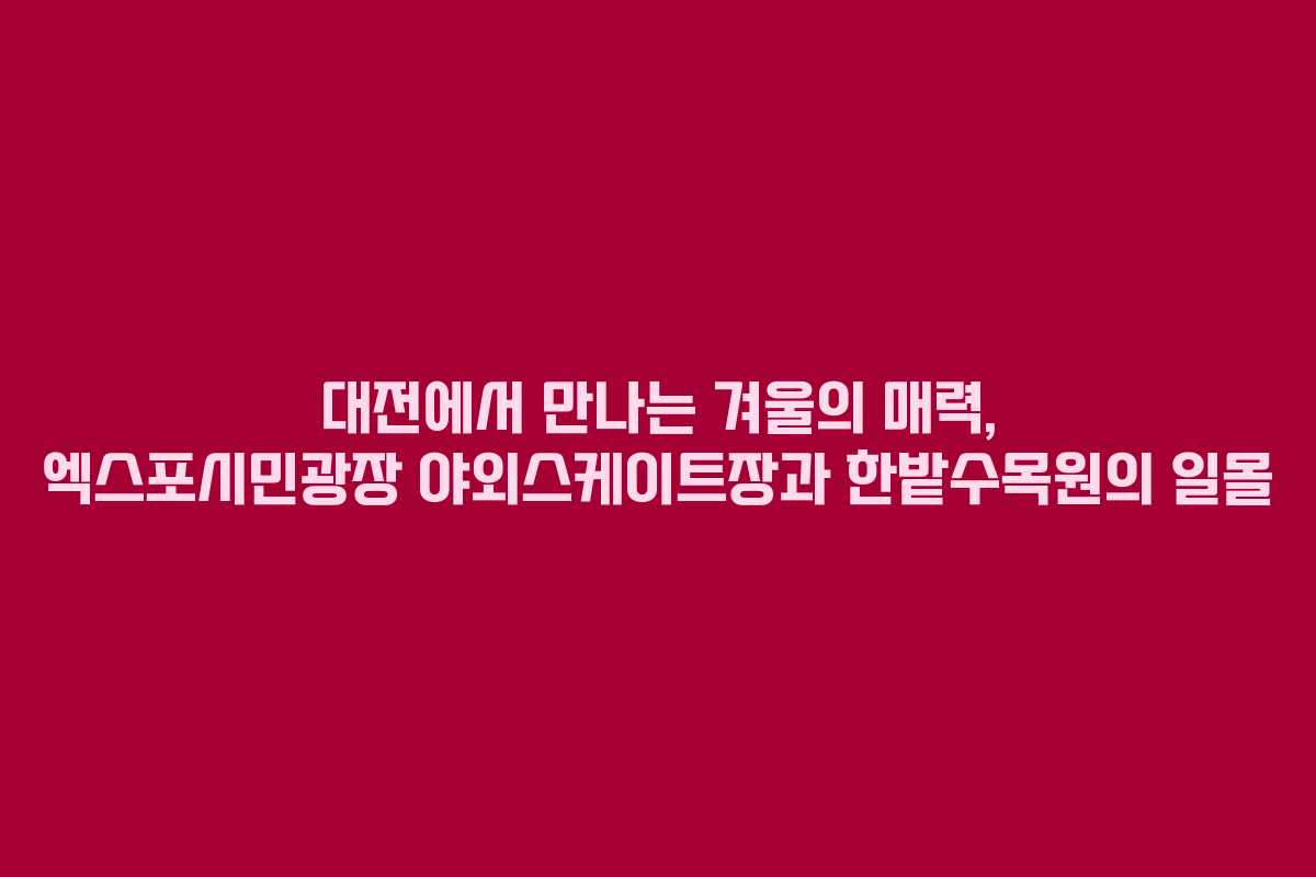 대전에서 만나는 겨울의 매력, 엑스포시민광장 야외스케이트장과 한밭수목원의 일몰