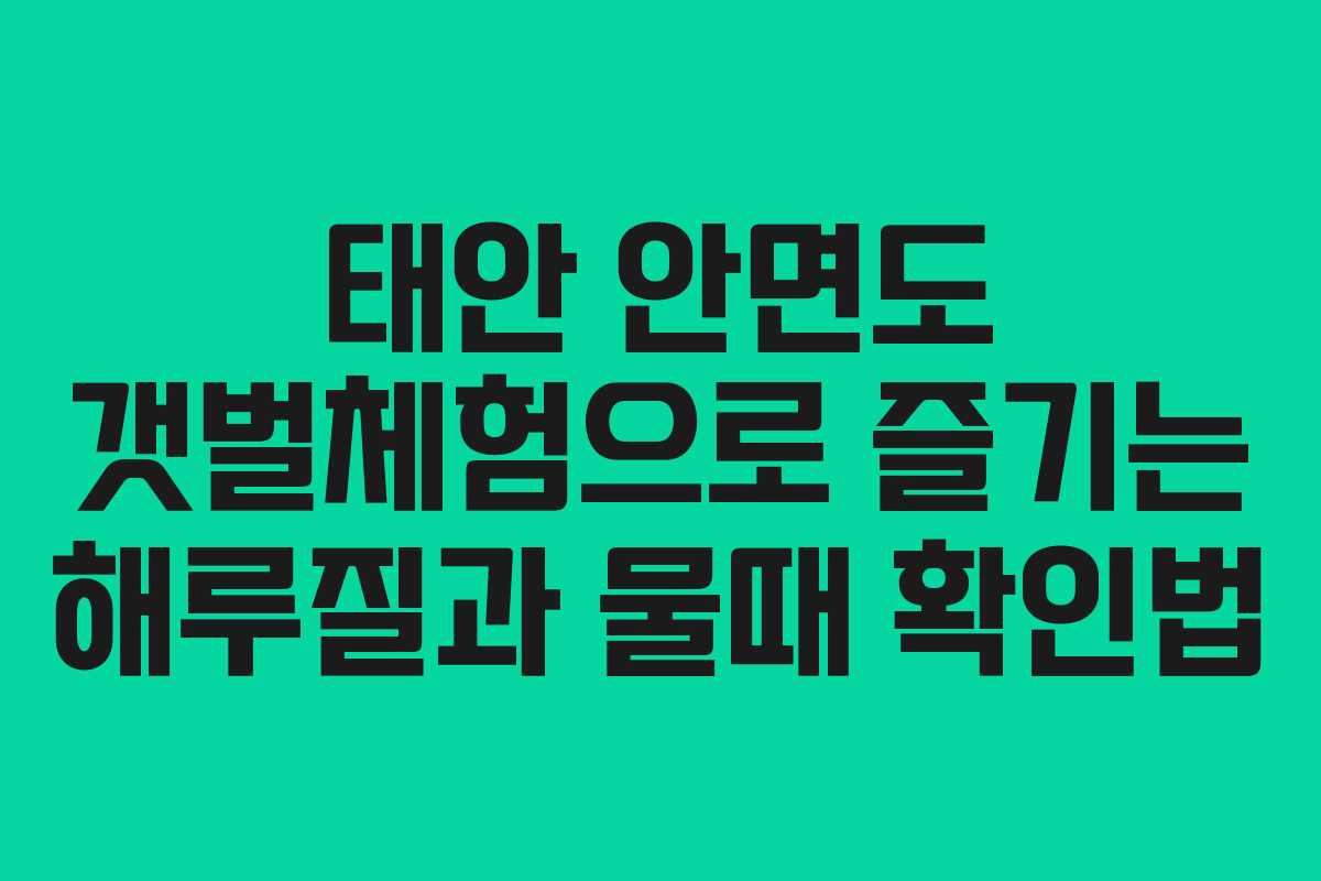 태안 안면도 갯벌체험으로 즐기는 해루질과 물때 확인법