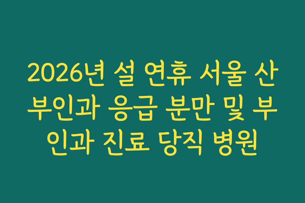 2026년 설 연휴 서울 산부인과 응급 분만 및 부인과 진료 당직 병원