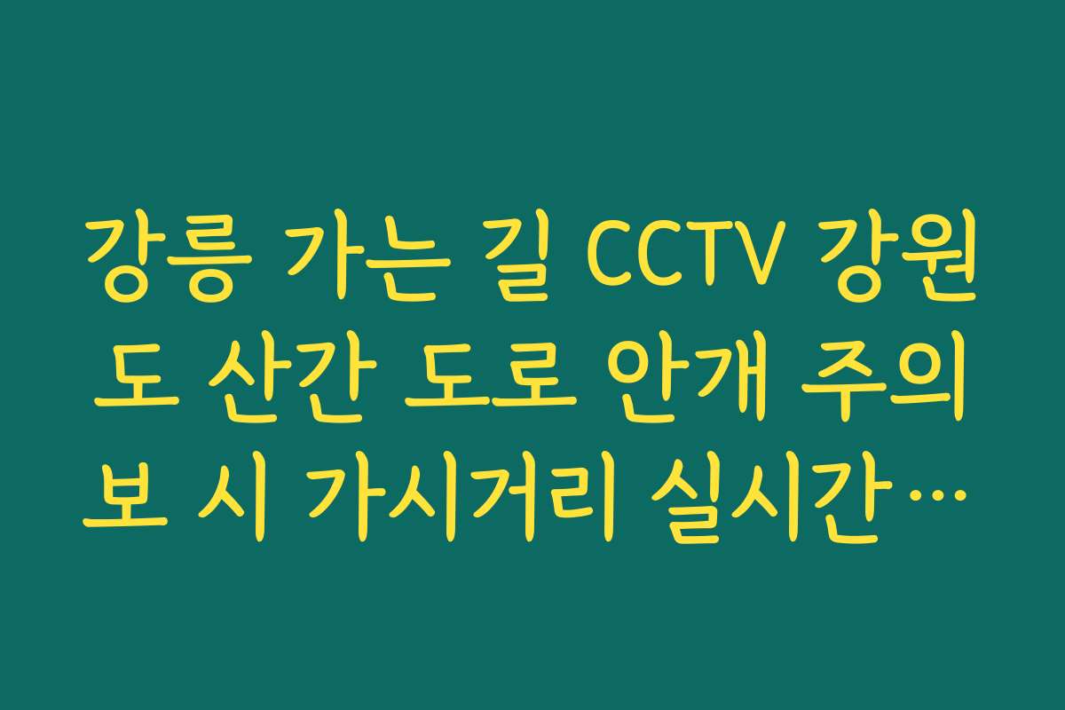 강릉 가는 길 CCTV 강원도 산간 도로 안개 주의보 시 가시거리 실시간 확인
